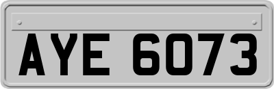 AYE6073