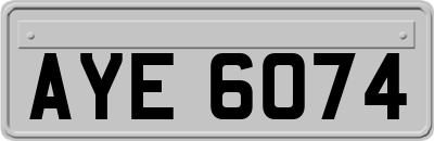 AYE6074