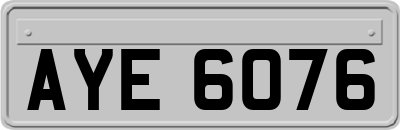 AYE6076