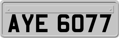AYE6077