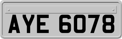 AYE6078