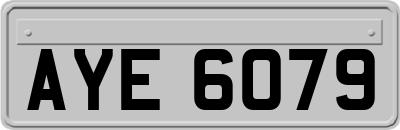 AYE6079