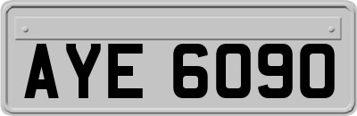AYE6090