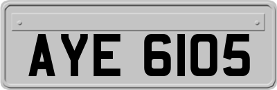 AYE6105