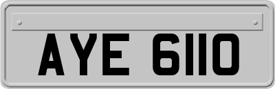 AYE6110