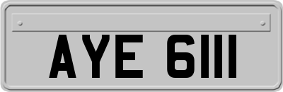 AYE6111