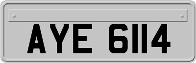 AYE6114