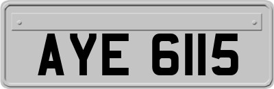 AYE6115