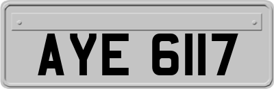 AYE6117