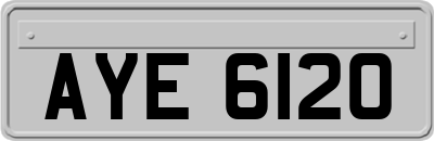 AYE6120