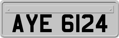 AYE6124