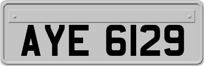 AYE6129