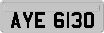 AYE6130