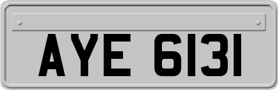 AYE6131