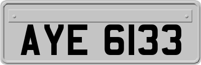 AYE6133