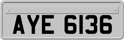 AYE6136