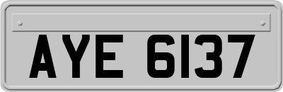 AYE6137
