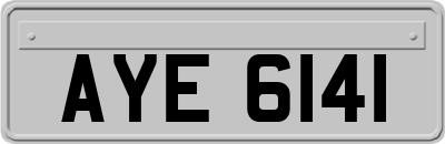 AYE6141