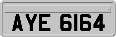 AYE6164