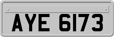 AYE6173