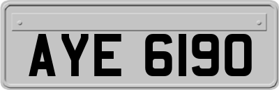 AYE6190