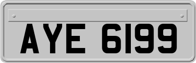 AYE6199