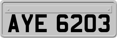 AYE6203