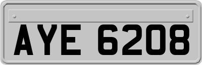 AYE6208