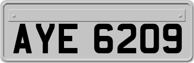 AYE6209