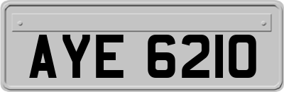 AYE6210