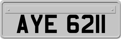 AYE6211