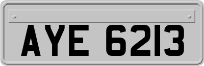 AYE6213