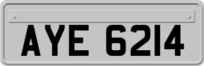 AYE6214
