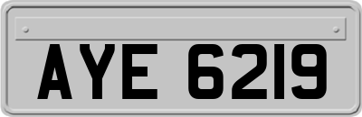 AYE6219