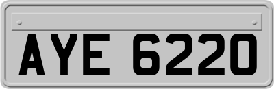 AYE6220