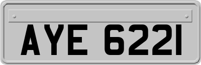 AYE6221