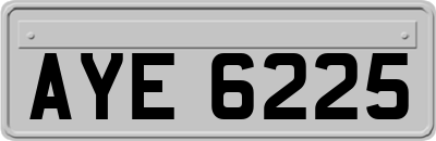 AYE6225