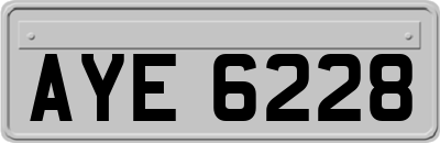 AYE6228