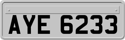 AYE6233