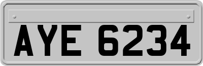 AYE6234