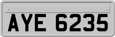 AYE6235