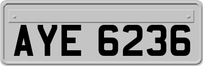 AYE6236