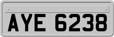 AYE6238