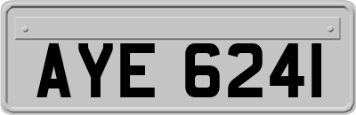 AYE6241