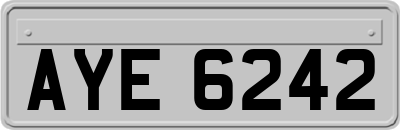 AYE6242
