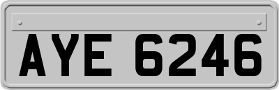 AYE6246
