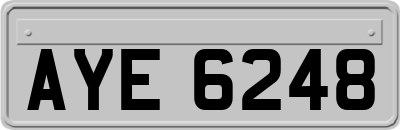 AYE6248