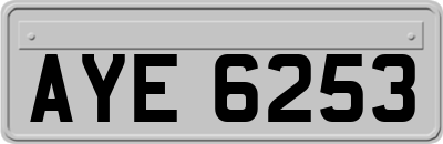 AYE6253