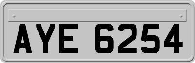 AYE6254