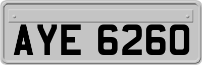 AYE6260